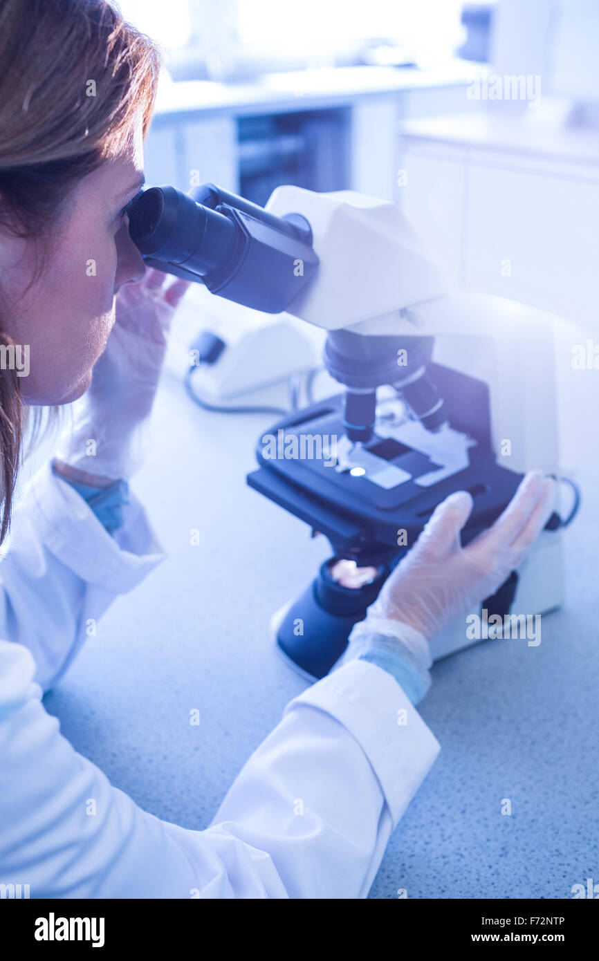 Scientist working with a microscope in laboratory Stock Photo