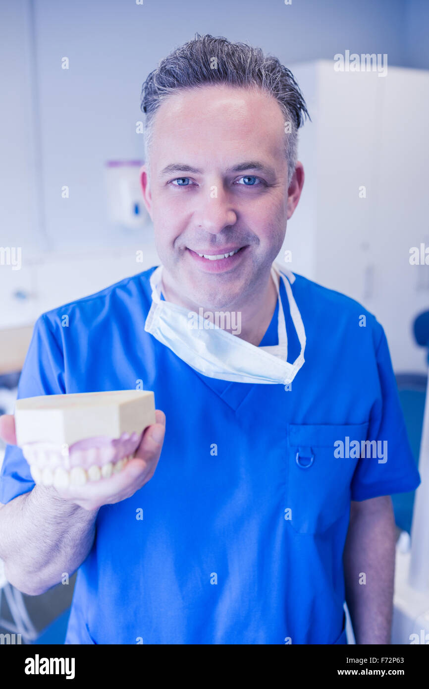 Dentist in blue scrubs holding mouth model Stock Photo Alamy