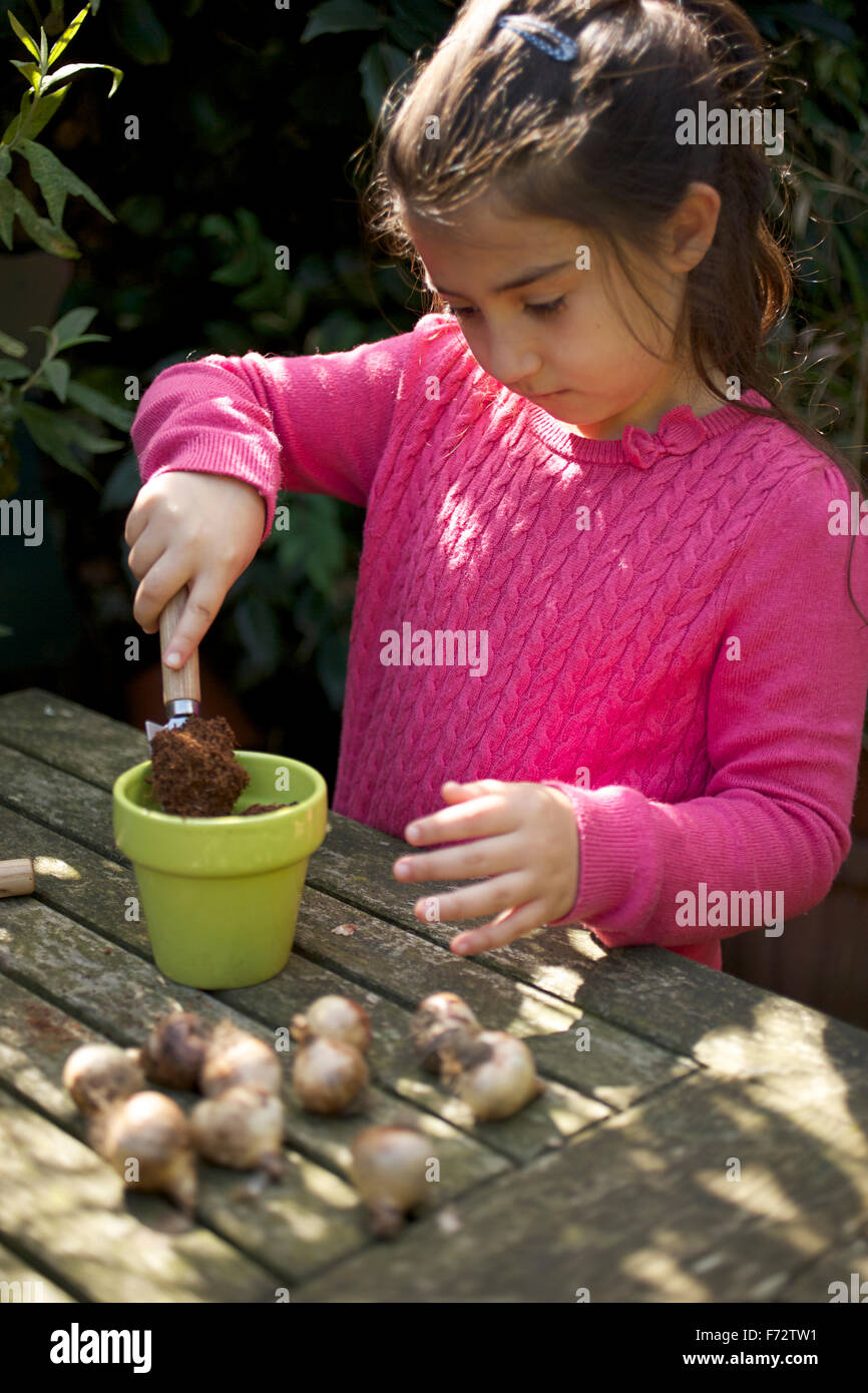 Young girl (seven year old) potting up spring bulbs Stock Photo