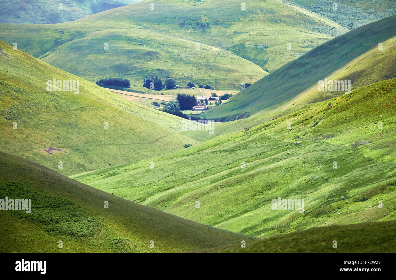 A farm nestled amongst the hills in the Northumberland Countryside, England,UK. Stock Photo