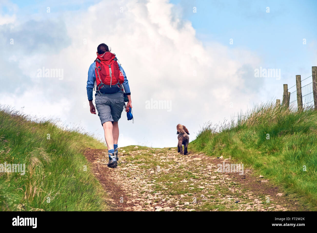 A woman out walking in the English countryside. Stock Photo