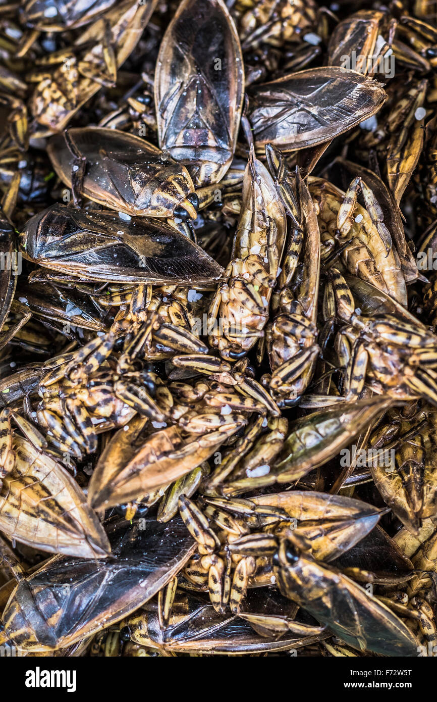 Thai food at market. Fried insects Stock Photo