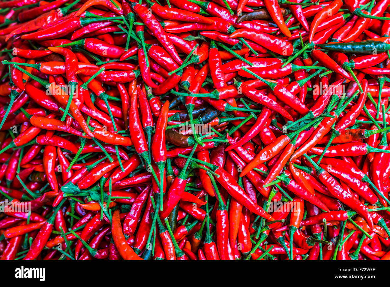 Multitude red chili peppers hi-res stock photography and images - Alamy