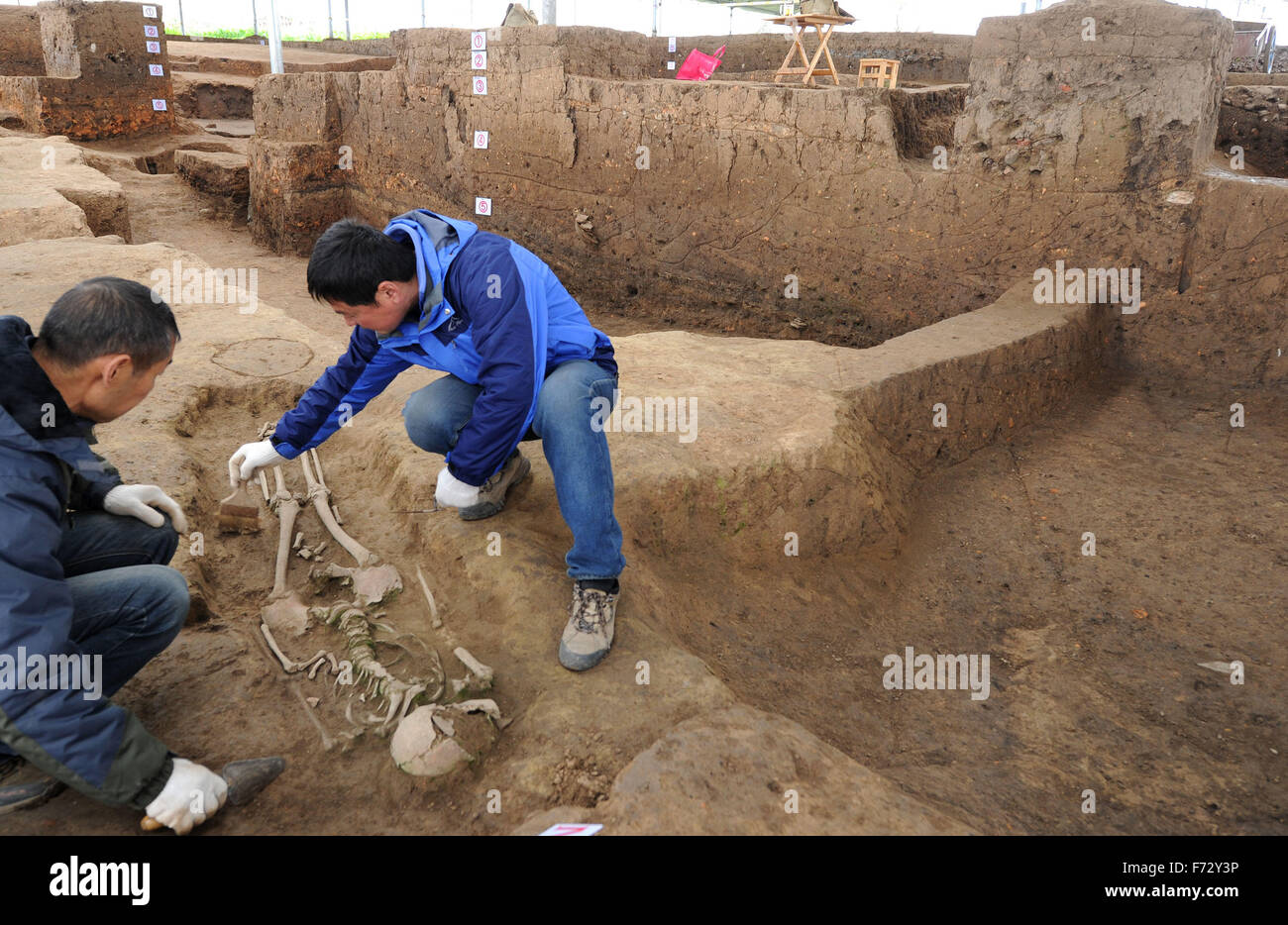 археология древнего израиля. археологические находки. археологические останки великанов. великаны люди скелеты исполины. археология находки в раскопе.
