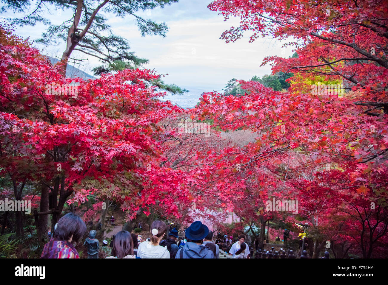 Autumn colors,Oyama-dera temple,Mt Oyama,Isehara city,Kanagawa prefecture,Japan Stock Photo