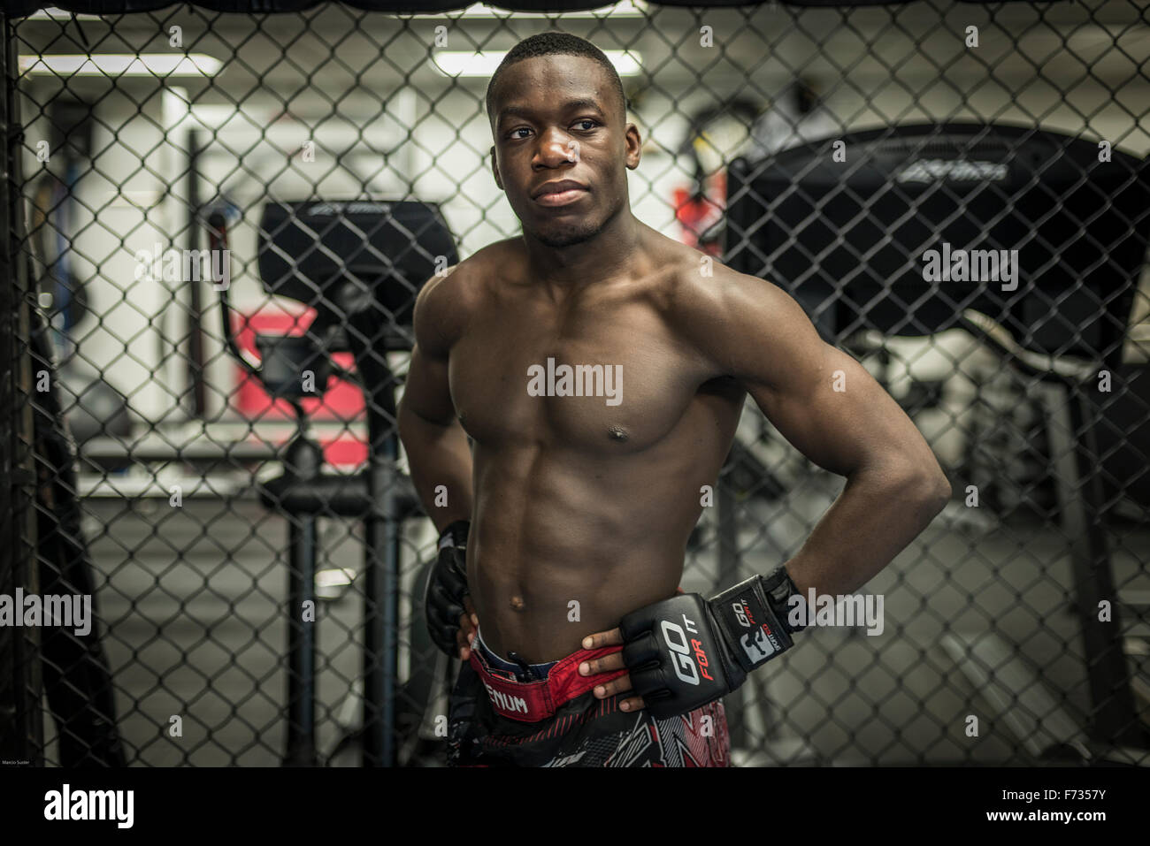African mixed martial arts fighters in the Ultimate Fighting Championship  spotlight