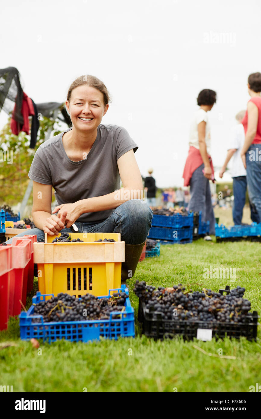 The owner of a vineyard, businesswoman and founder kneeling by the crates of harvested grapes at the end of the picking day. Stock Photo