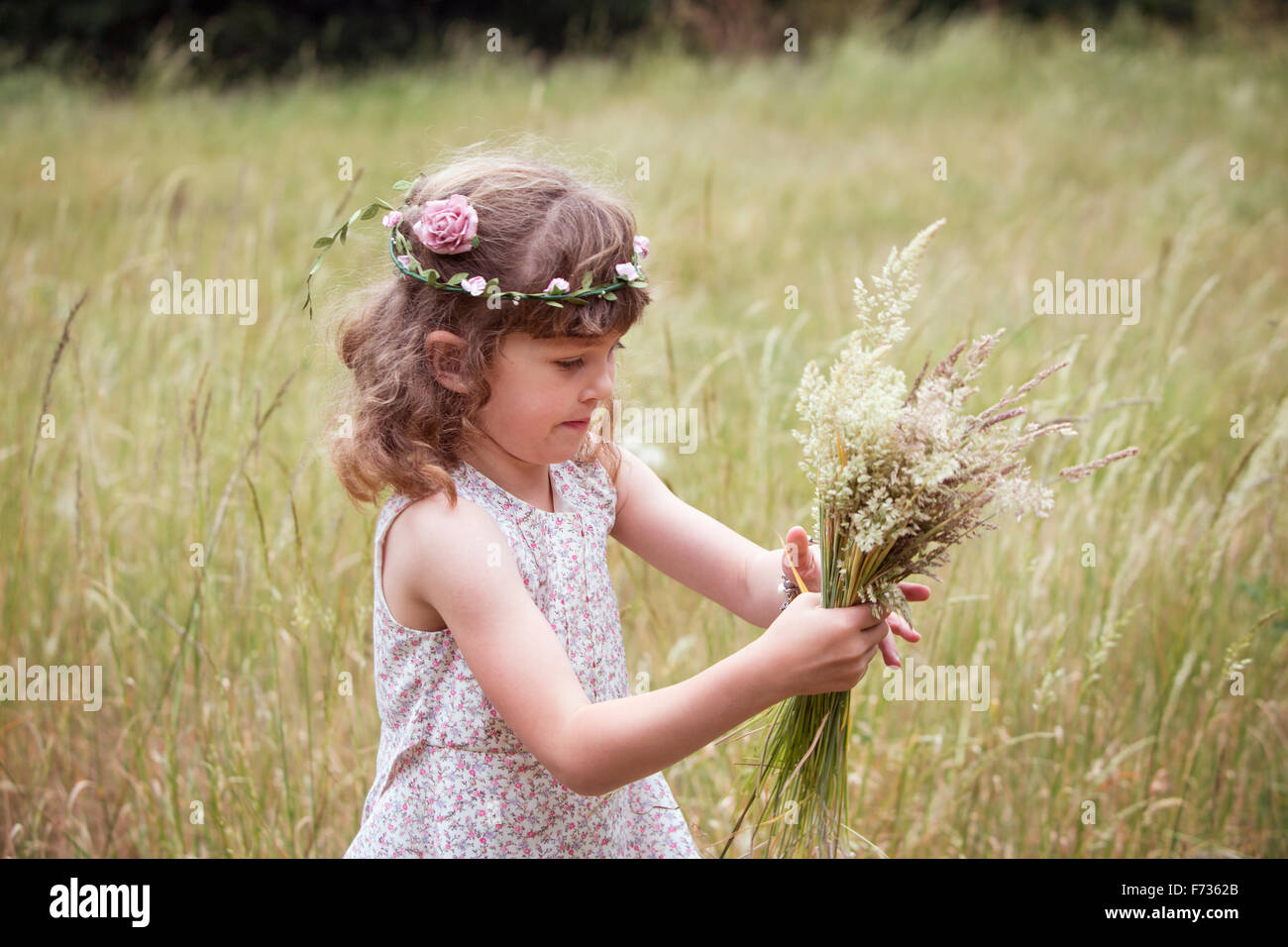 Young girl with flowers in her hair picking wild flowers in a meadow