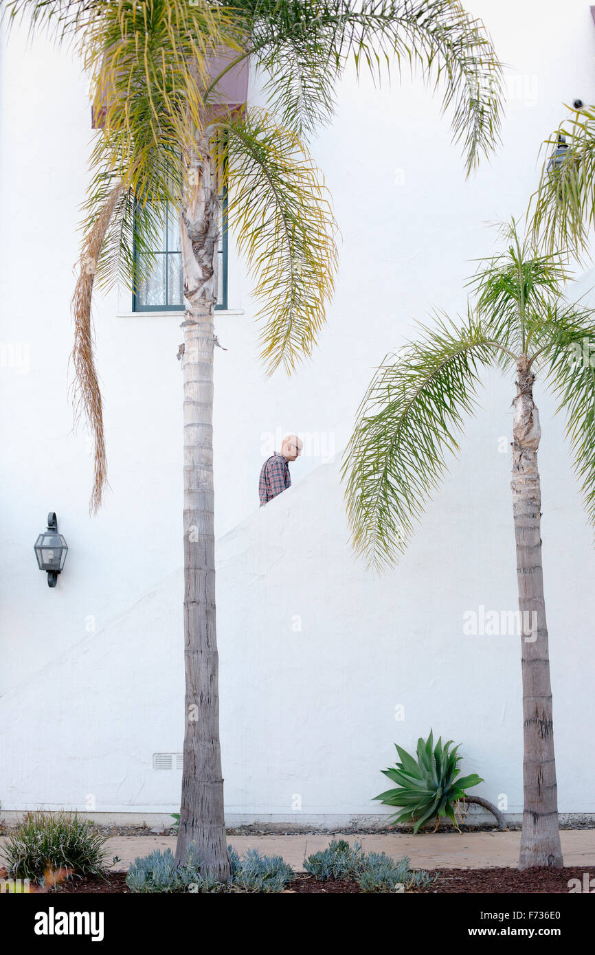 Man walking up a staircase in the distance, palm trees. Stock Photo