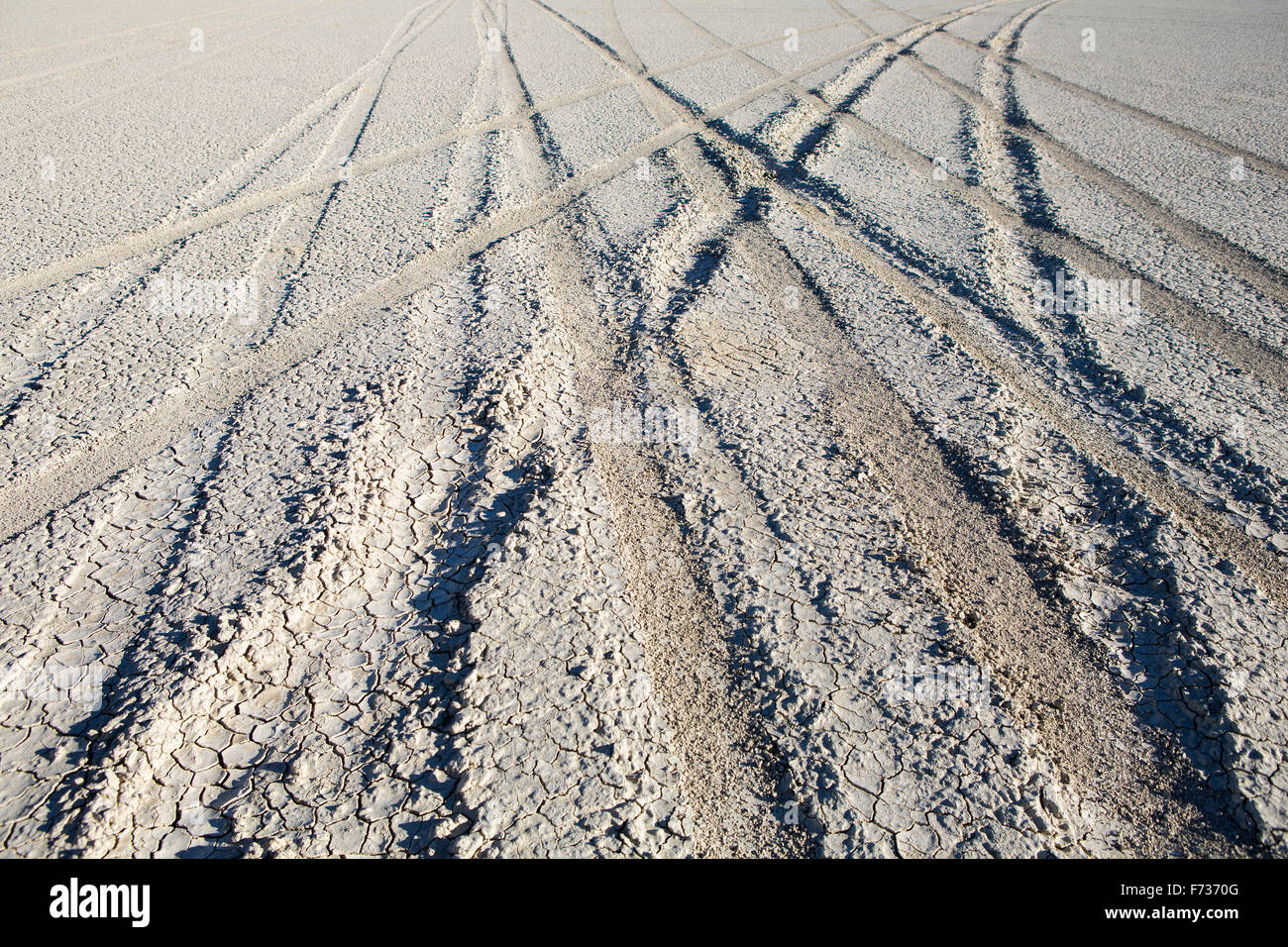 Tire tracks on the playa, salt flats surface. Stock Photo