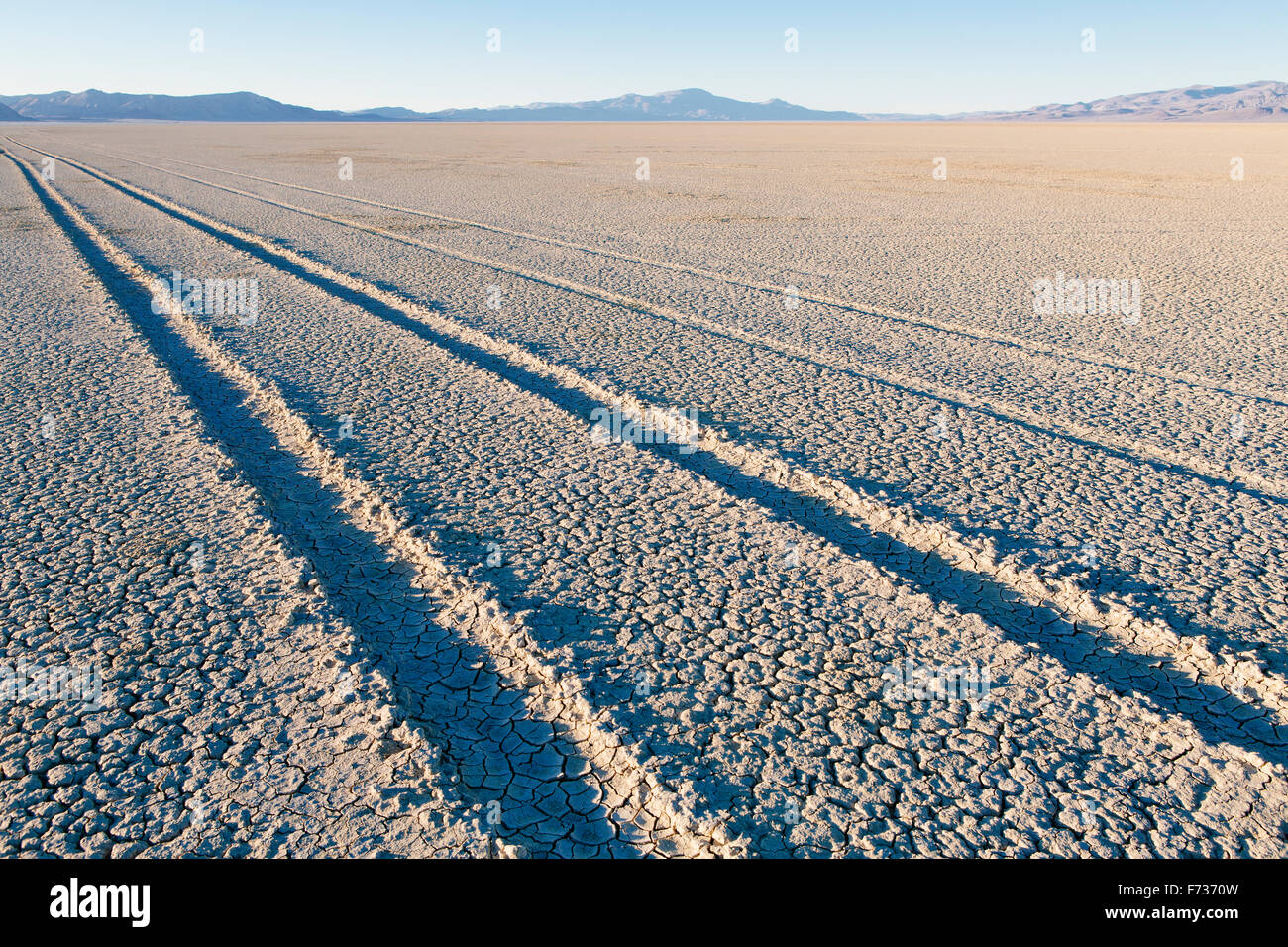 Tire tracks on the dry surface of the desert. Stock Photo