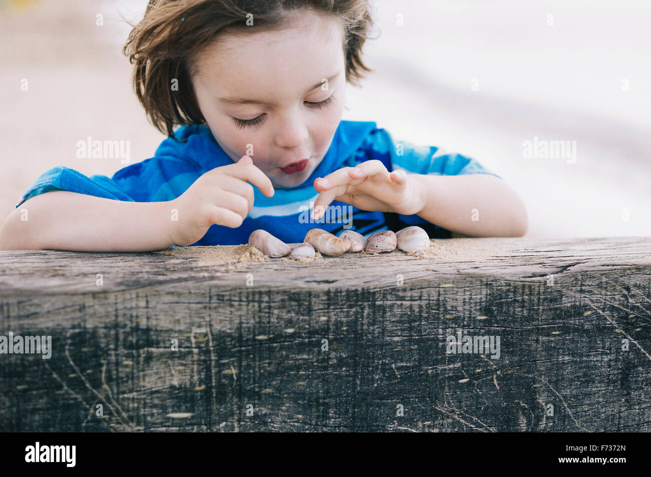 A boy at the beach counting shells lined up on a breakwater. Stock Photo