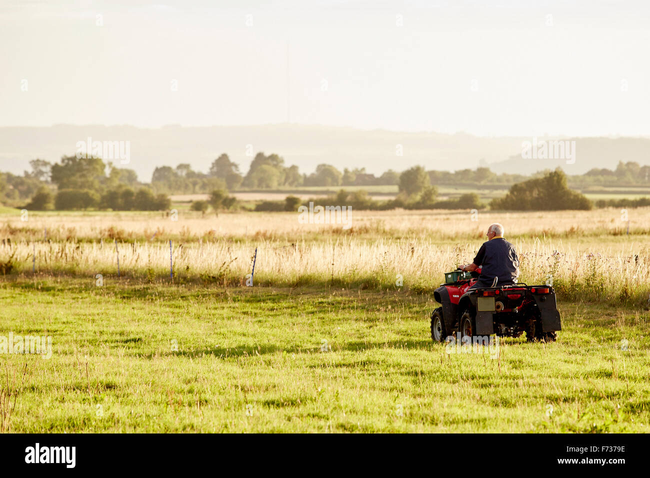 A man on a quadbike driving across a field. Stock Photo