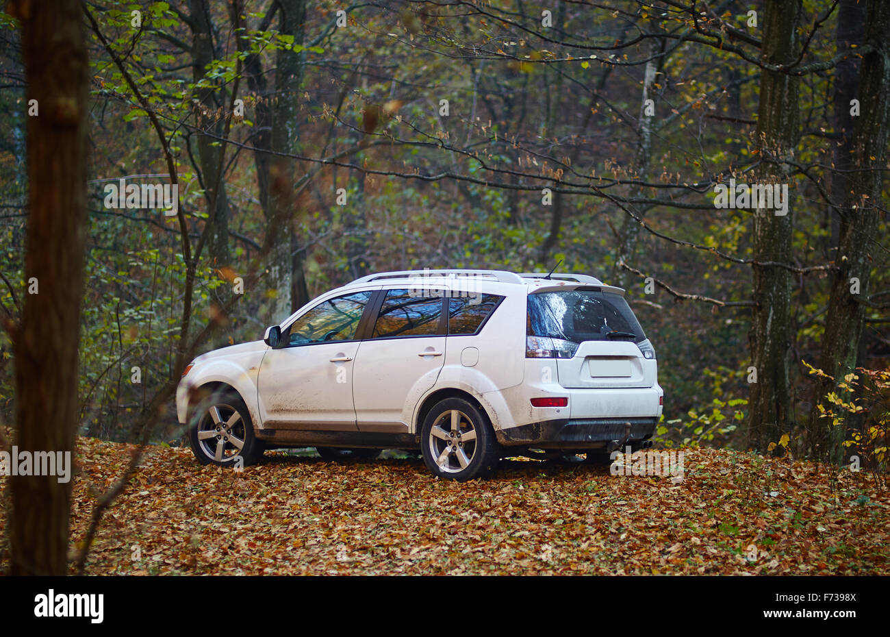 SUV car parked on a forest road covered in fallen leaves Stock Photo