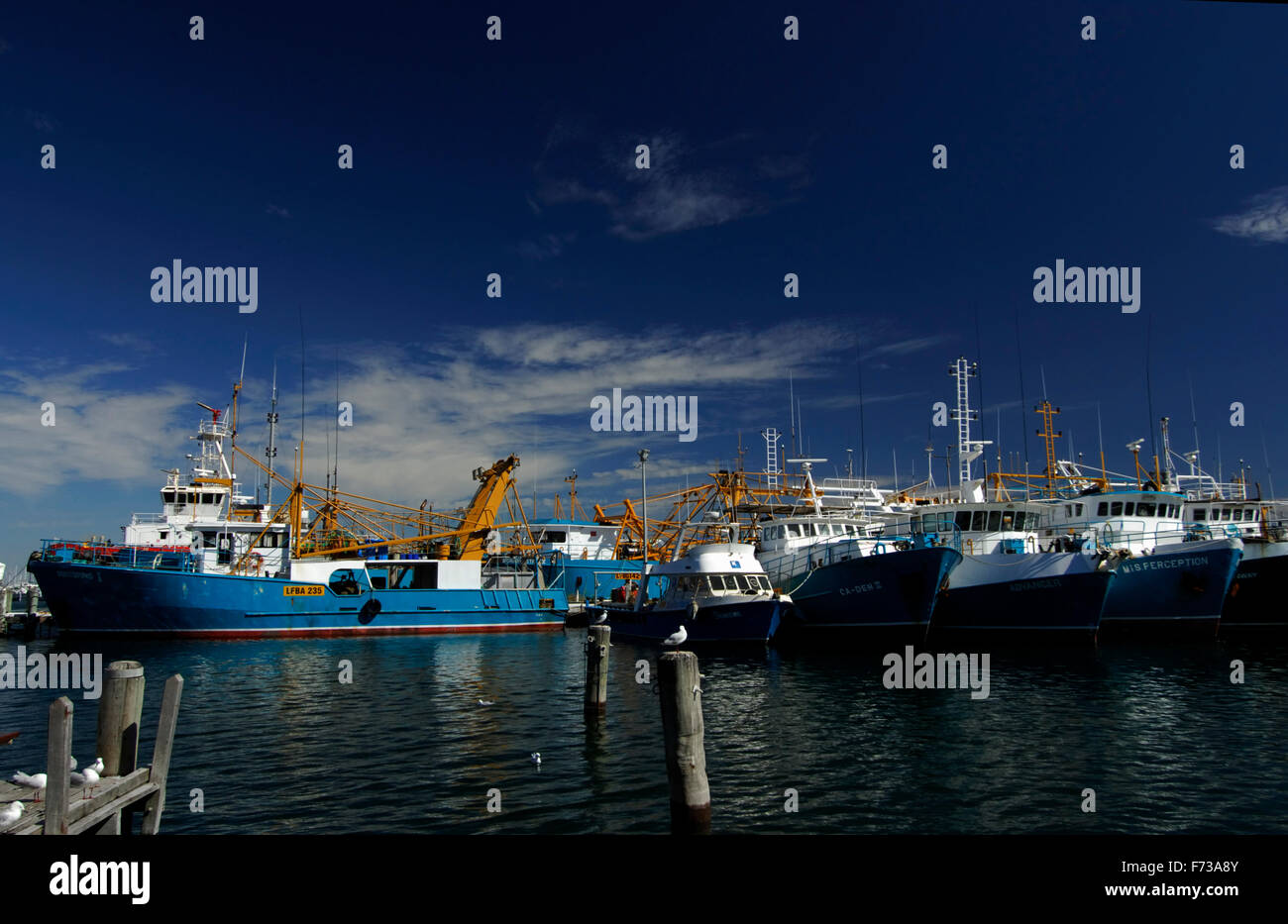 Fishing fleet in the harbour, Fremantle, Western Australia Stock Photo