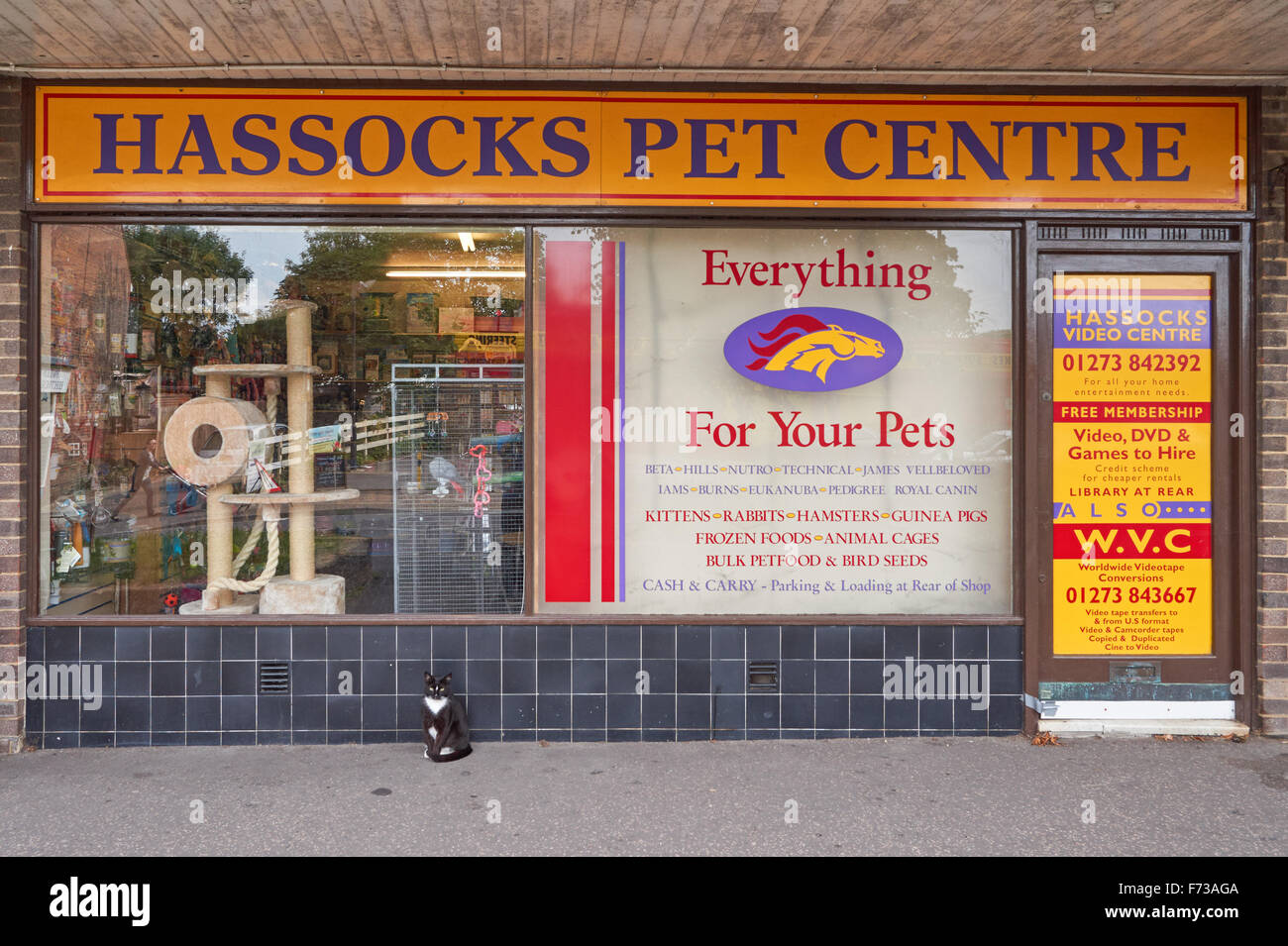 pet shop city centre