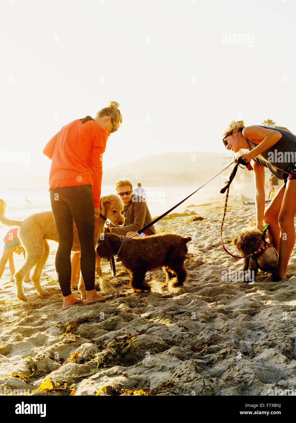 Beach goers with their loving pets meet on Laguna beach California. Stock Photo