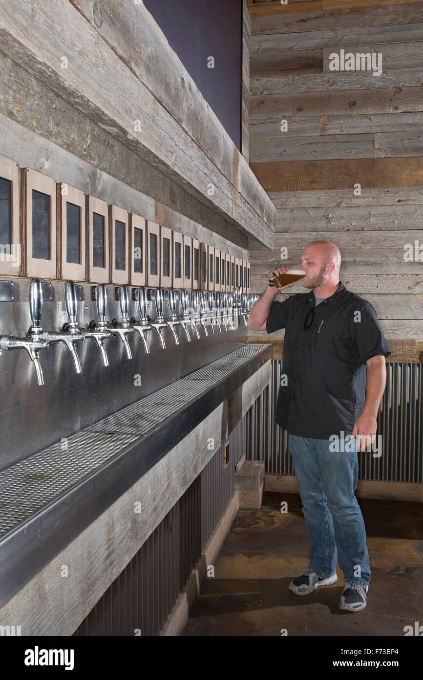 A young man tests beer in a beer brewery in San Diego, California, a series of beer tap fits on the wall in front of him. Stock Photo