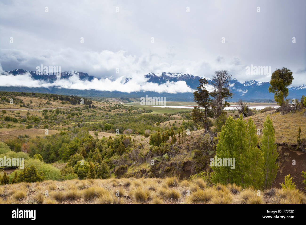 Steppe landscape in Chubut Patagonia Stock Photo - Alamy