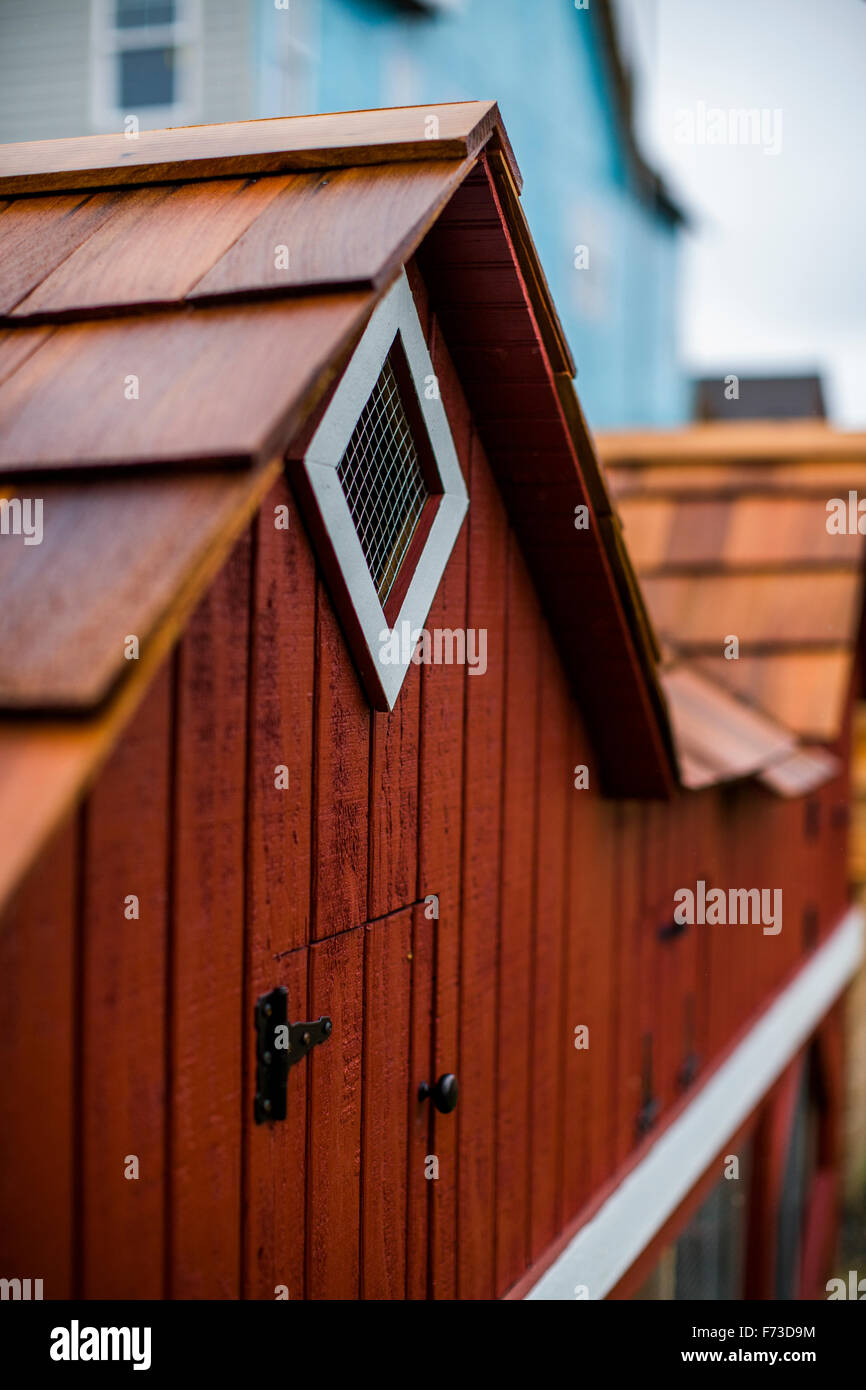 From small, homemade structures to large, elaborate homes, chicken