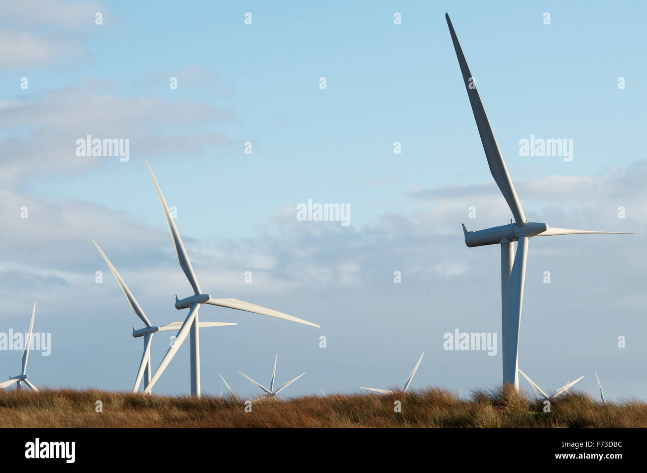Wind turbines at Whitelee Wind Farm. Stock Photo