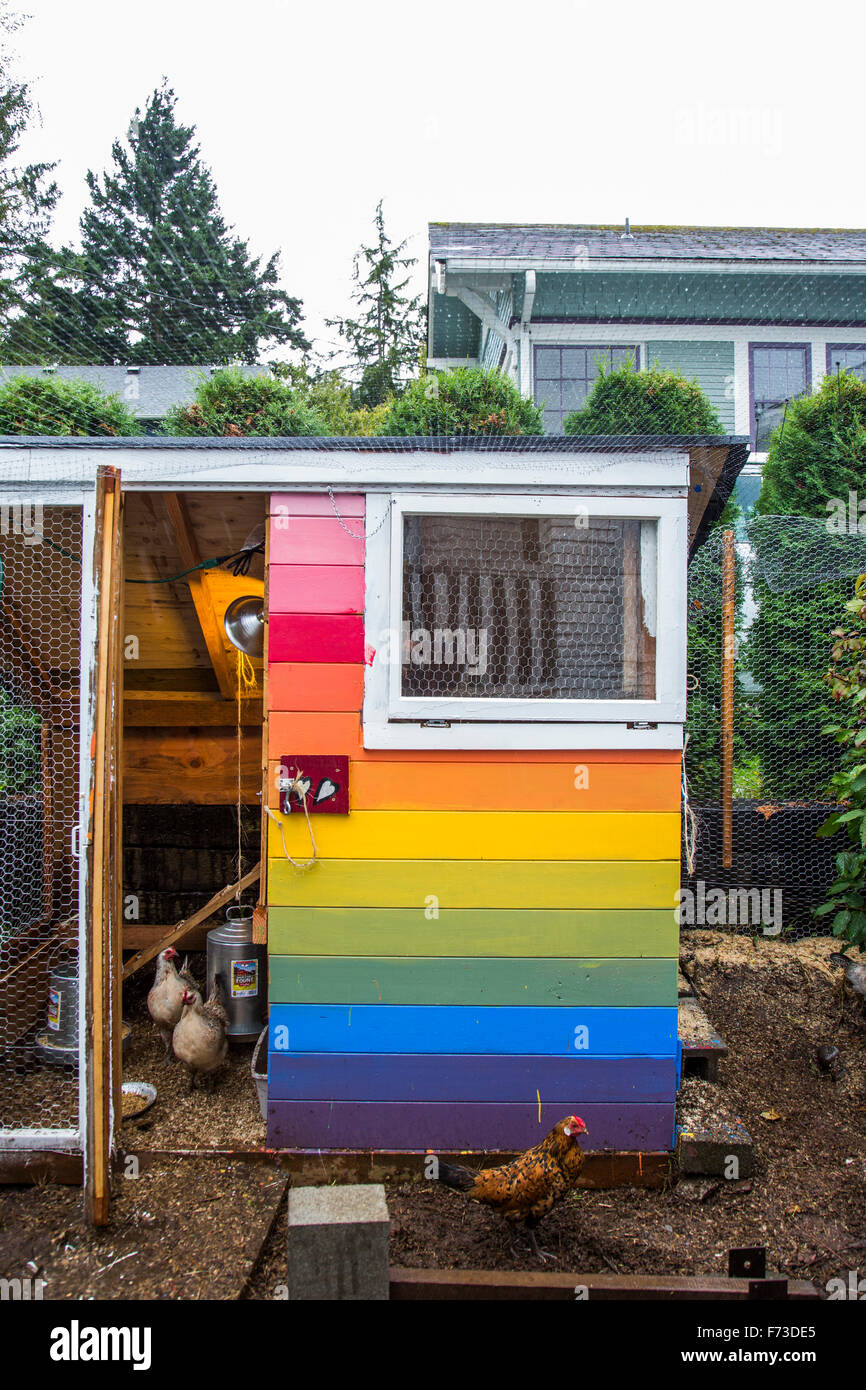 From small, homemade structures to large, elaborate homes, chicken