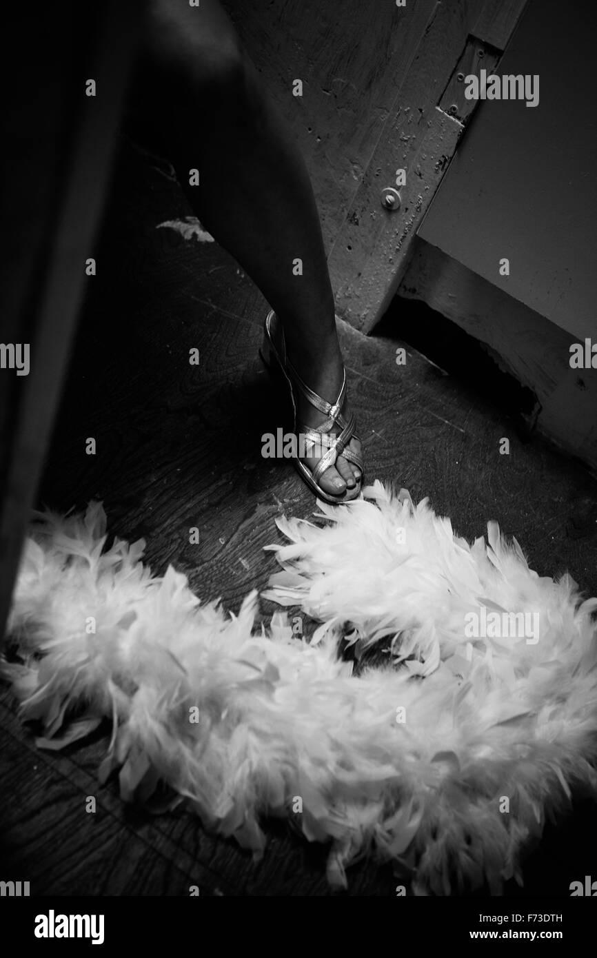A white feather boa Stock Photo Alamy