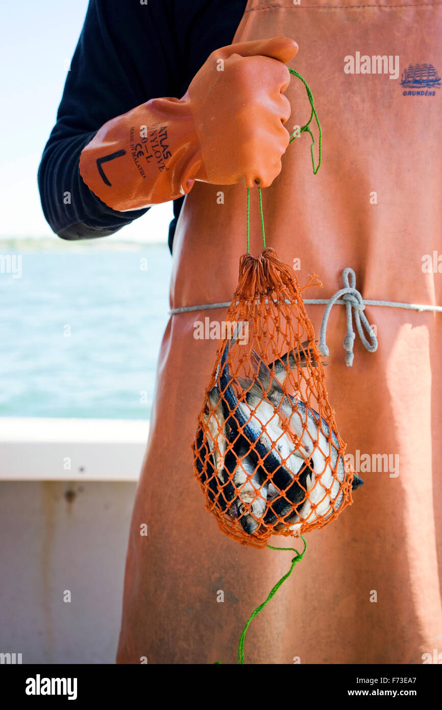 Net fish trapped hi-res stock photography and images - Alamy