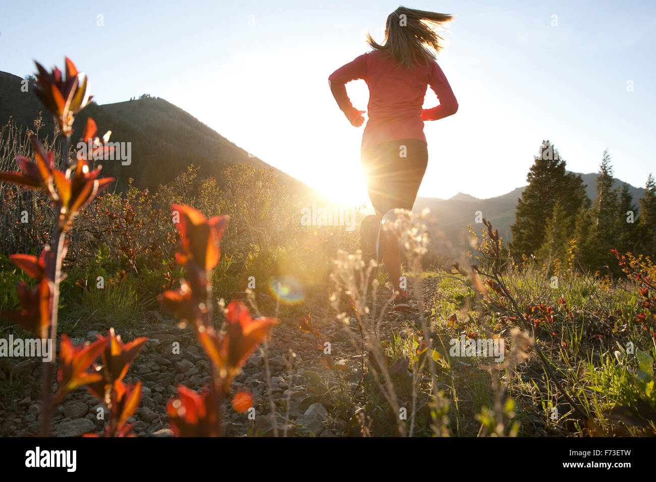 A woman trail running at sunset. Stock Photo