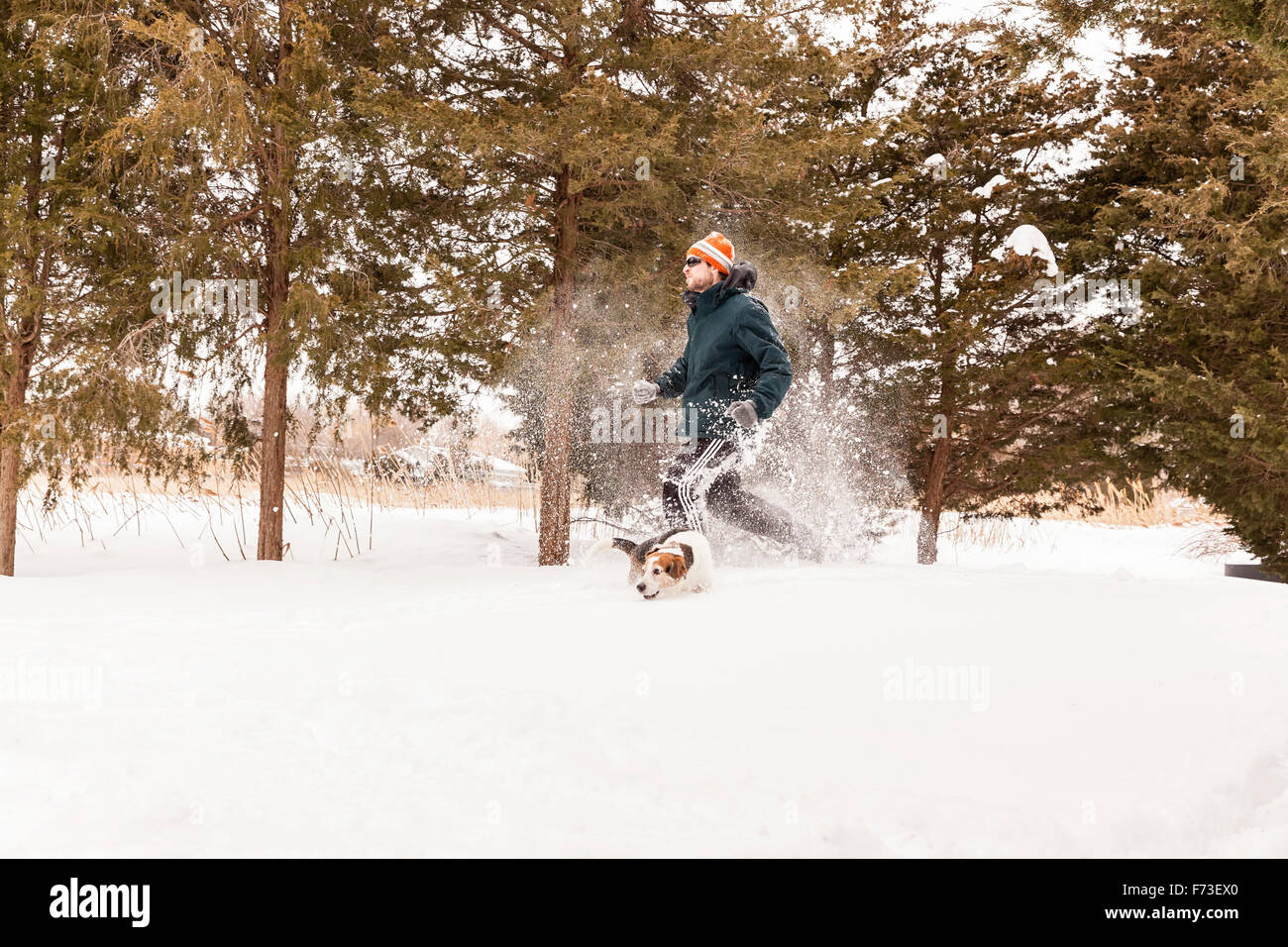 Snowshoe running with dog Stock Photo Alamy