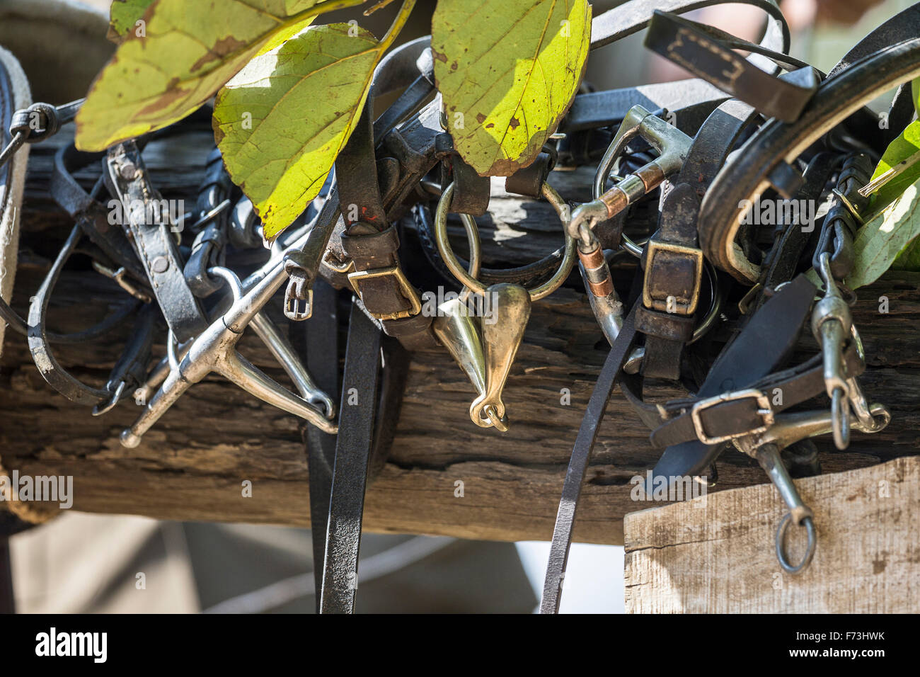 Different bits. Germany Stock Photo - Alamy