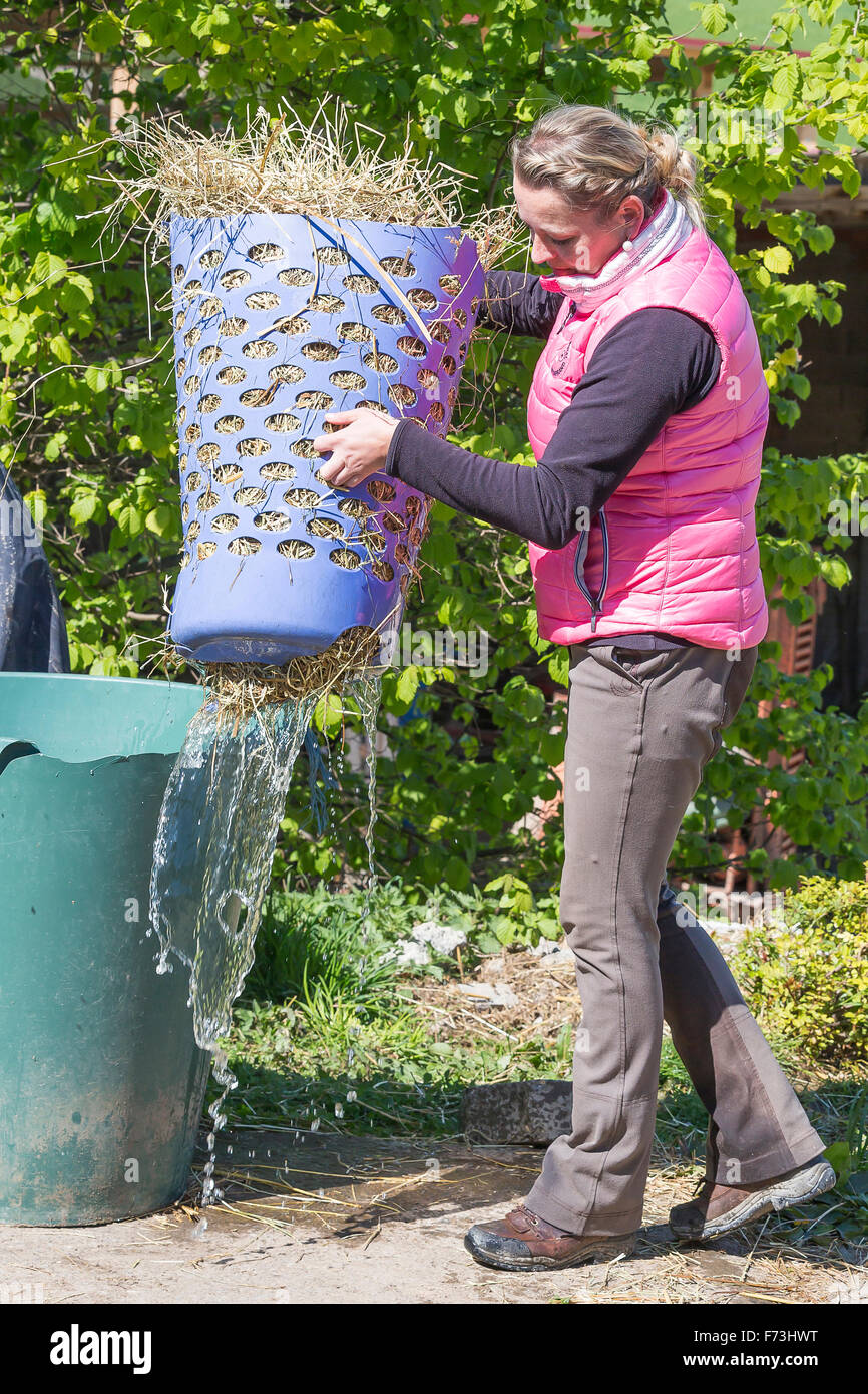 Soaking hay for horses hi-res stock photography and images - Alamy