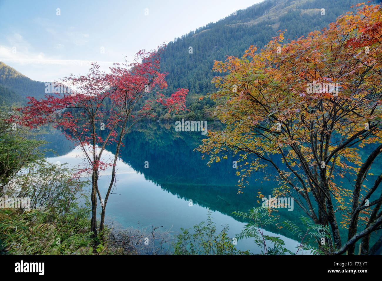 Rhinocerous Lake and Autumn Colour Jiuzhaigou National Park Sichuan, China LA007898 Stock Photo
