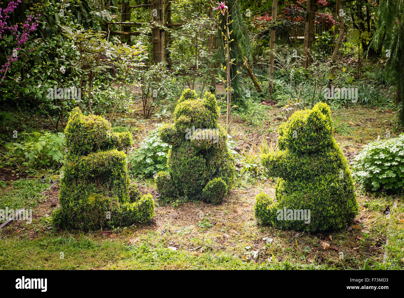 Topiary depicting the Three Little Bears in a private woodland garden in UK Stock Photo