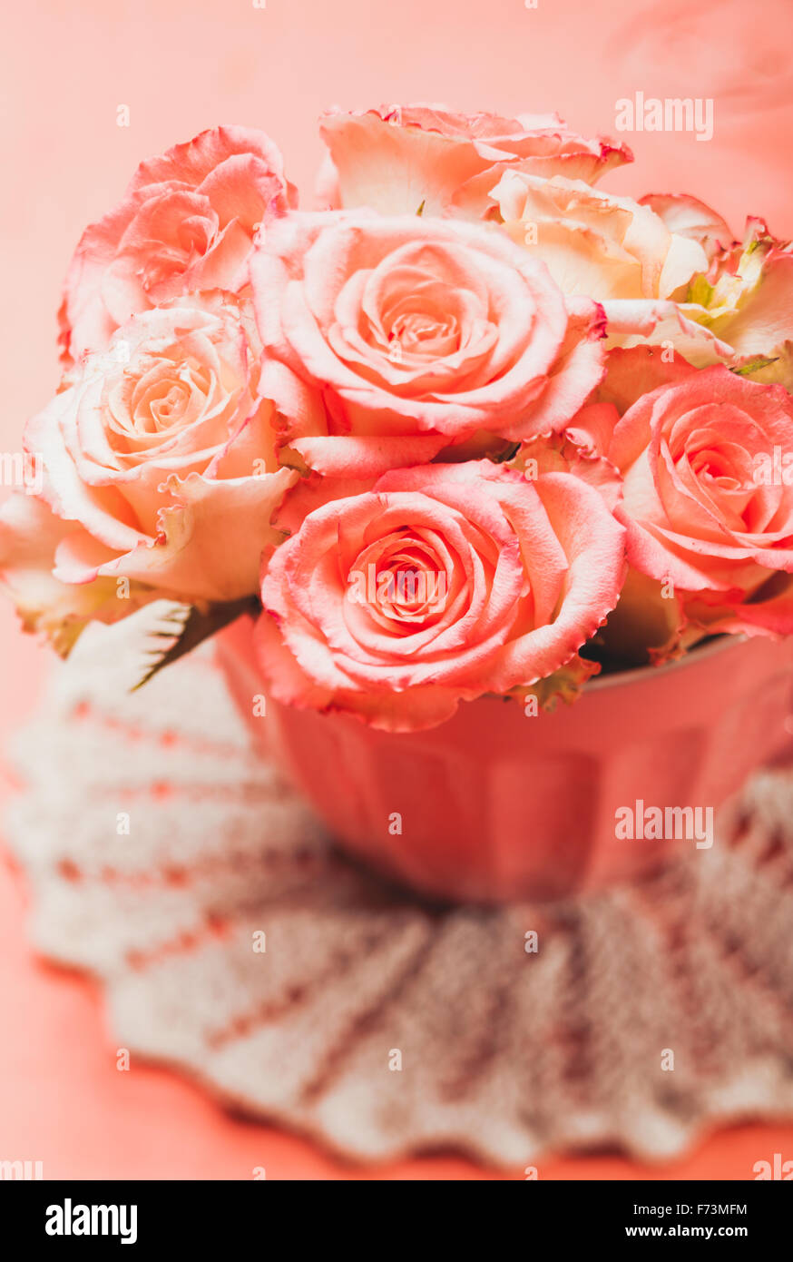 Pink roses in pink pot Stock Photo - Alamy