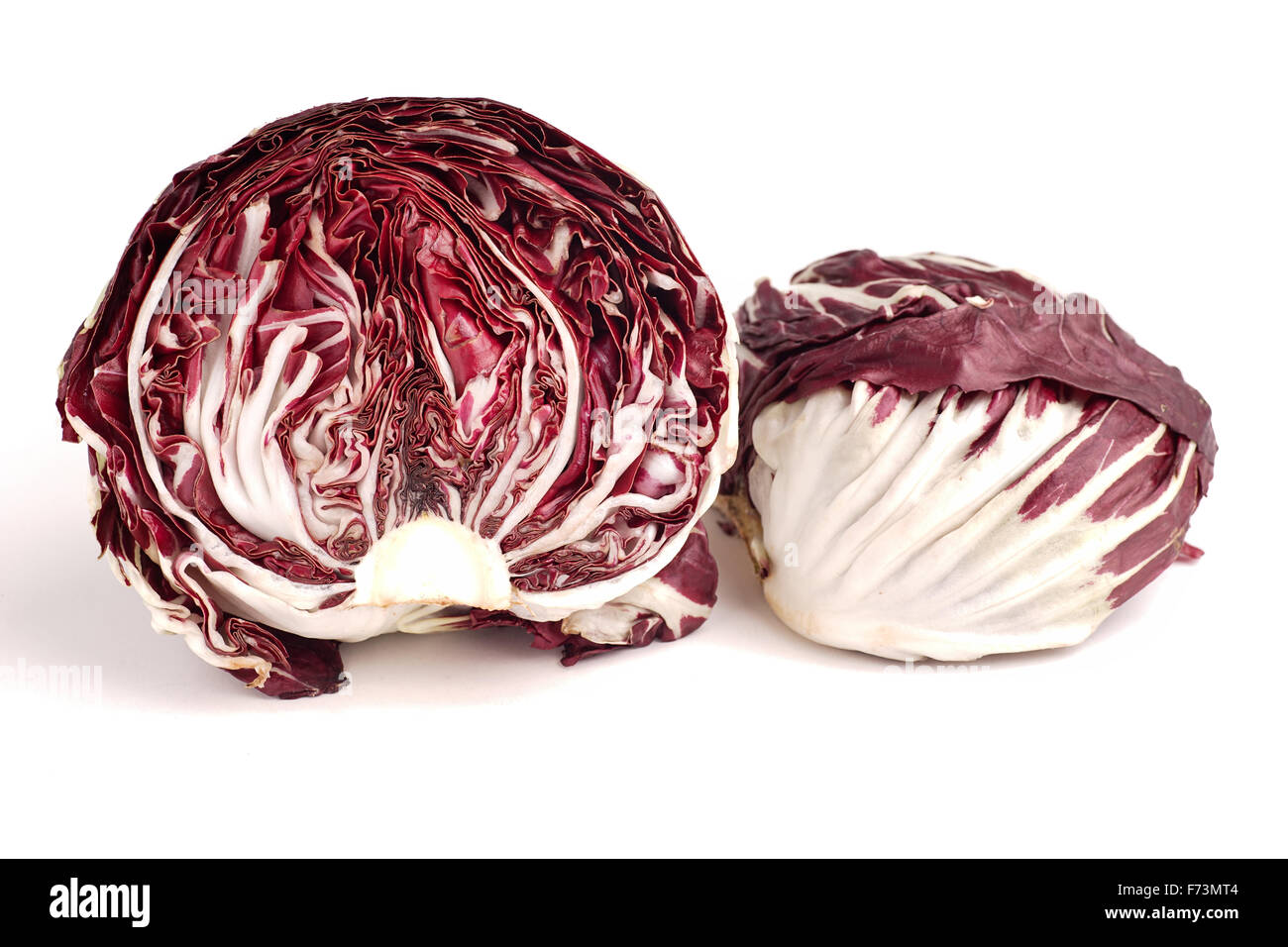 Fresh organic Radicchio Lettuce, ready for eating and cooking Stock Photo