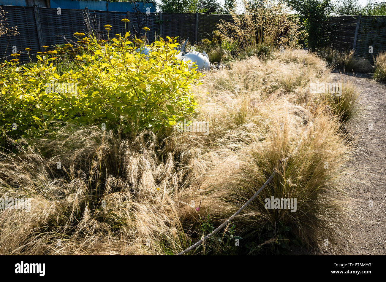 Innovative demonstration garden using characterful grasses to suggest wildness Stock Photo