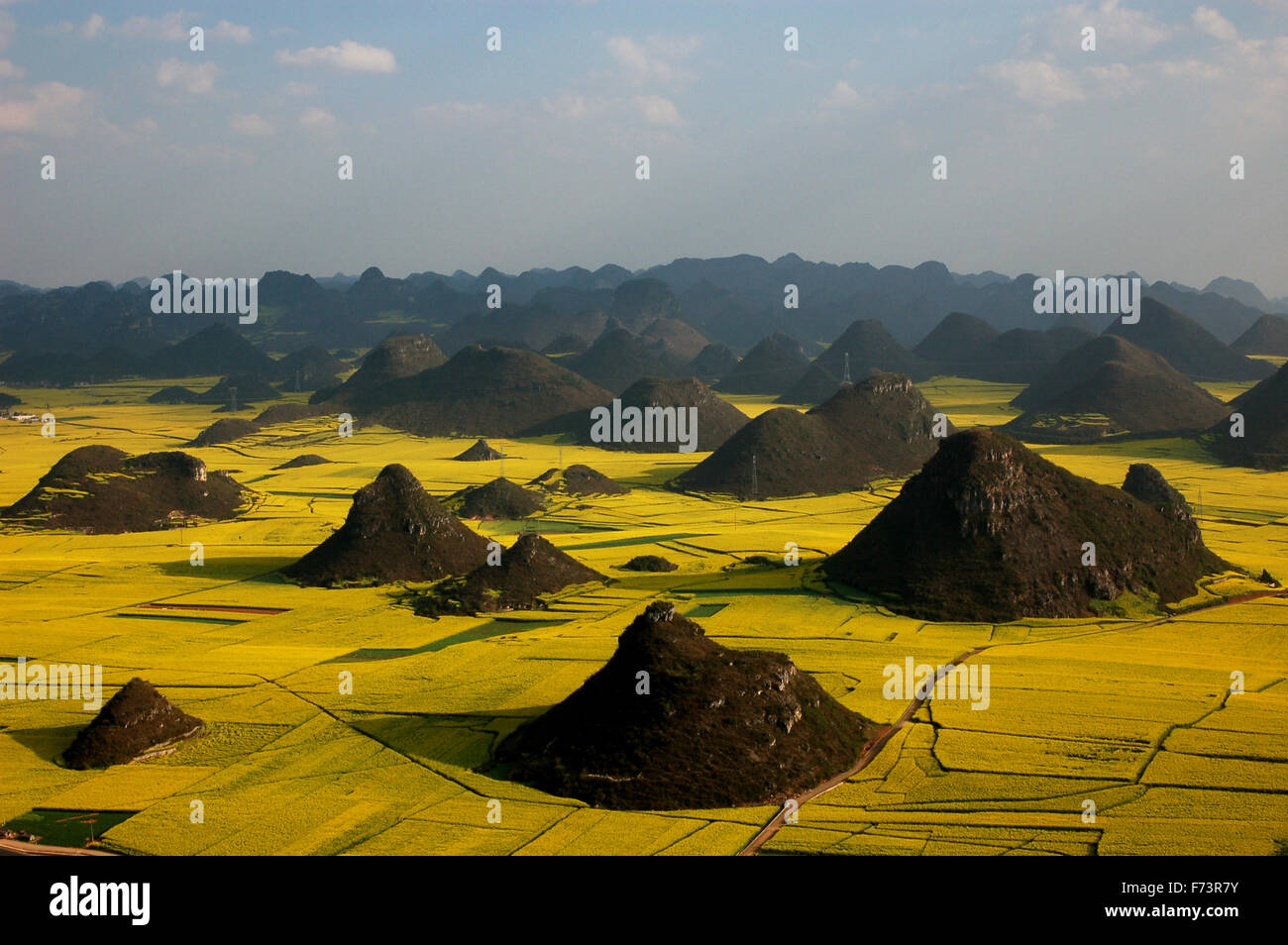 Rape Flower Fields In Luoping Yunnan Province China Stock Photo Alamy