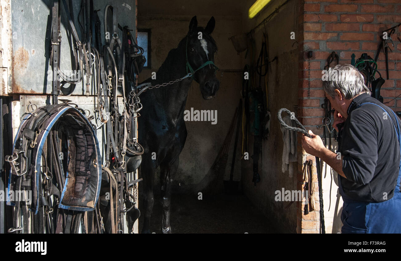 hippodrome in Italy Stock Photo