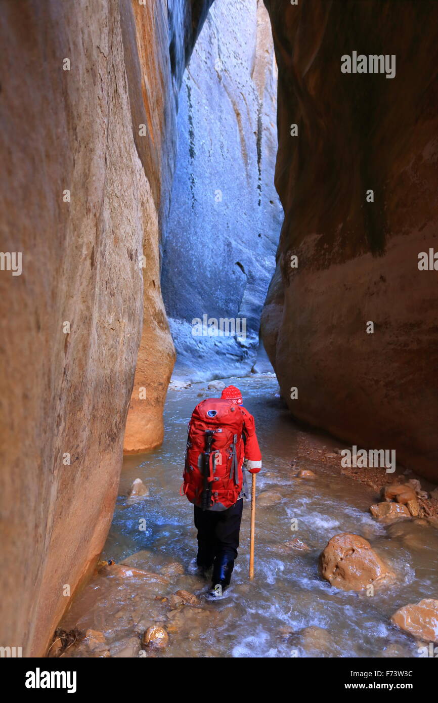 Hiking The Narrows Trek In Zion National Park Utha Usa Stock Photo Alamy
