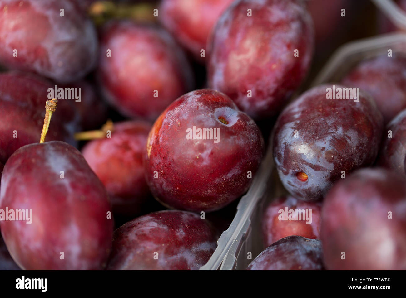 Satsuma plum hires stock photography and images Alamy