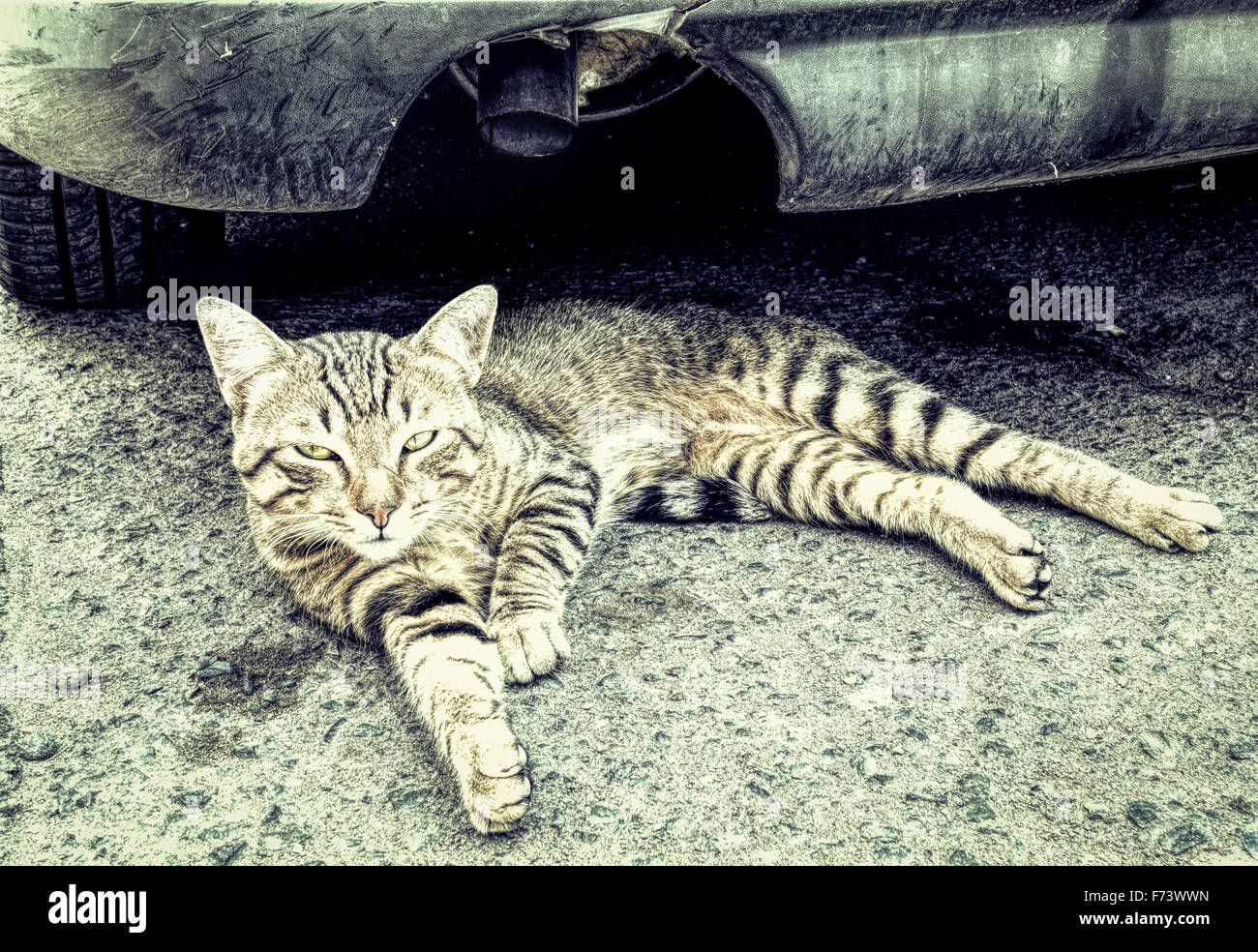 F73wwn hires stock photography and images Alamy