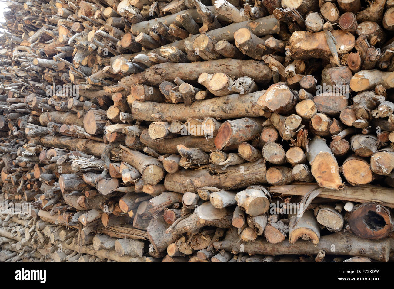 Funeral pyre ganges river hires stock photography and images Alamy