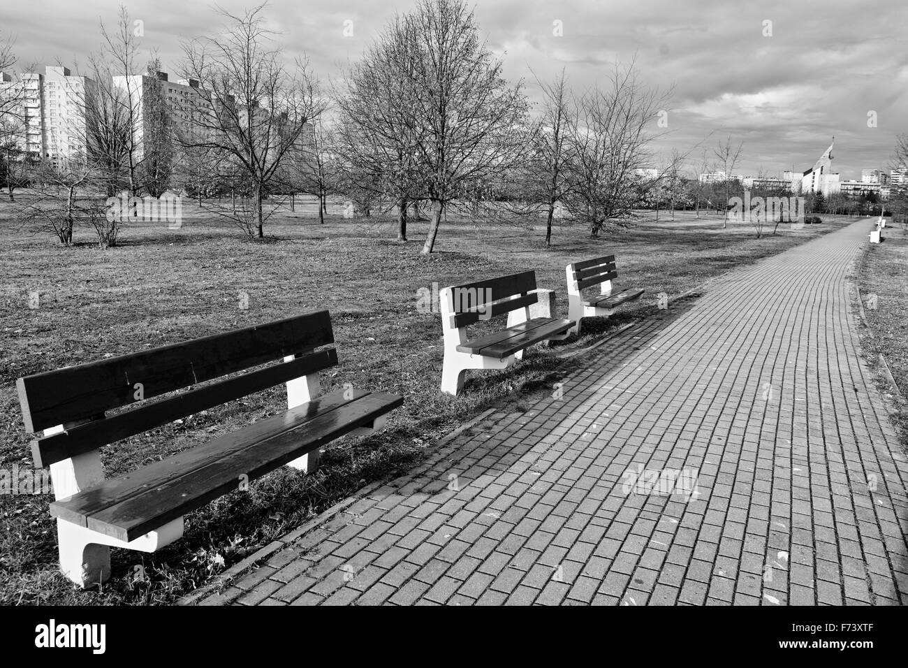 Bench in the park. Gdansk Zaspa, Poland. Stock Photo