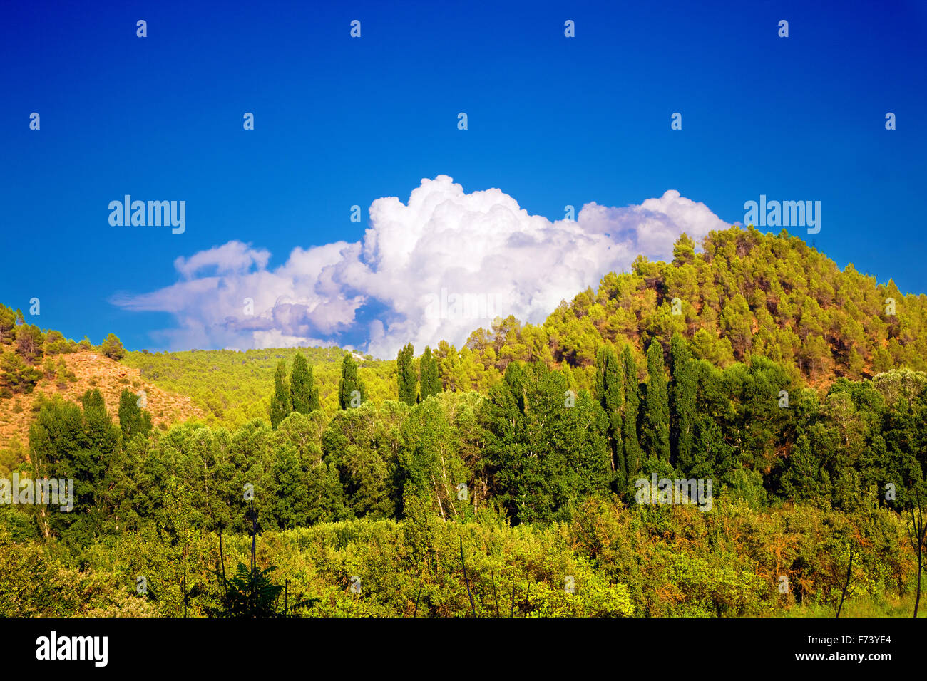 Mountain forest landscape hi-res stock photography and images - Alamy