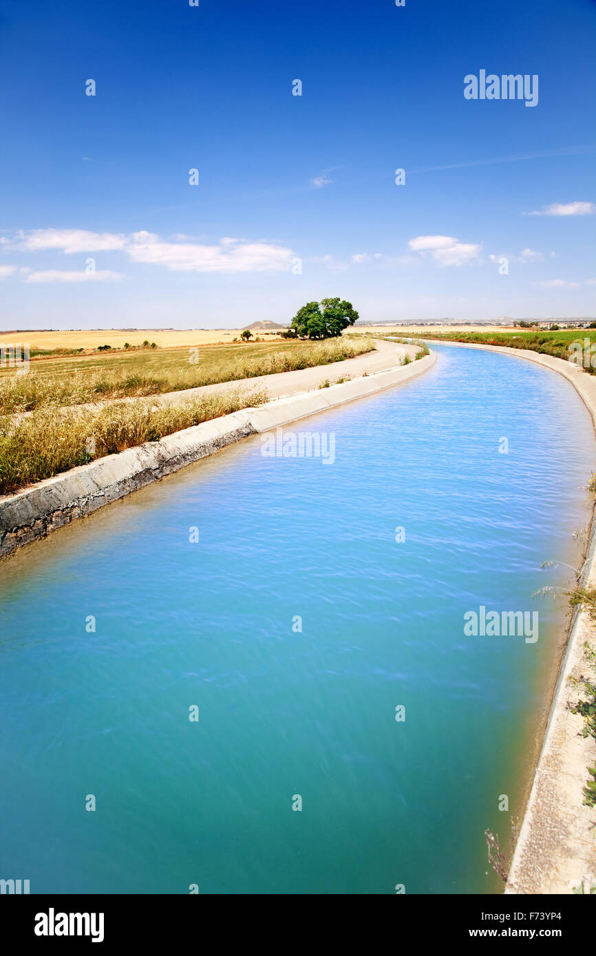 Landscape with irrigation water channel and tree Stock Photo