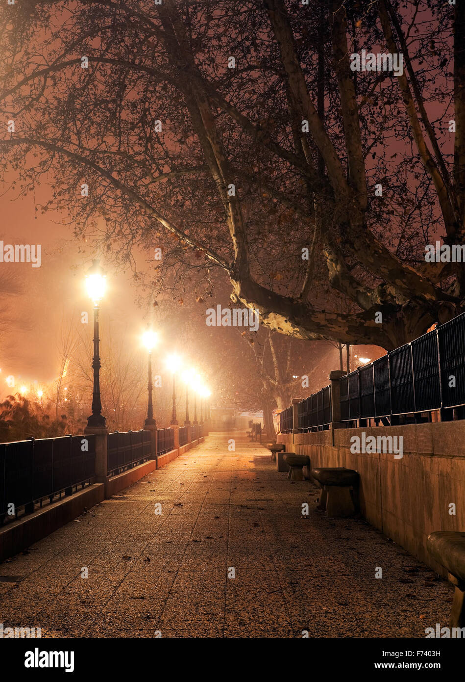Walk with street lamps at night cityscape Stock Photo
