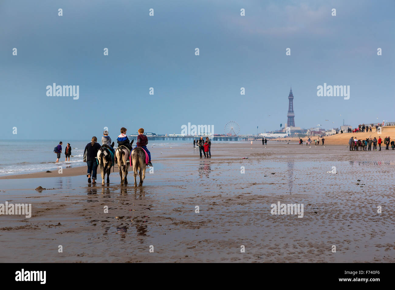 Donkey rides on Blackpool beach with the North Pier and the iconic tower in the distance Stock Photo