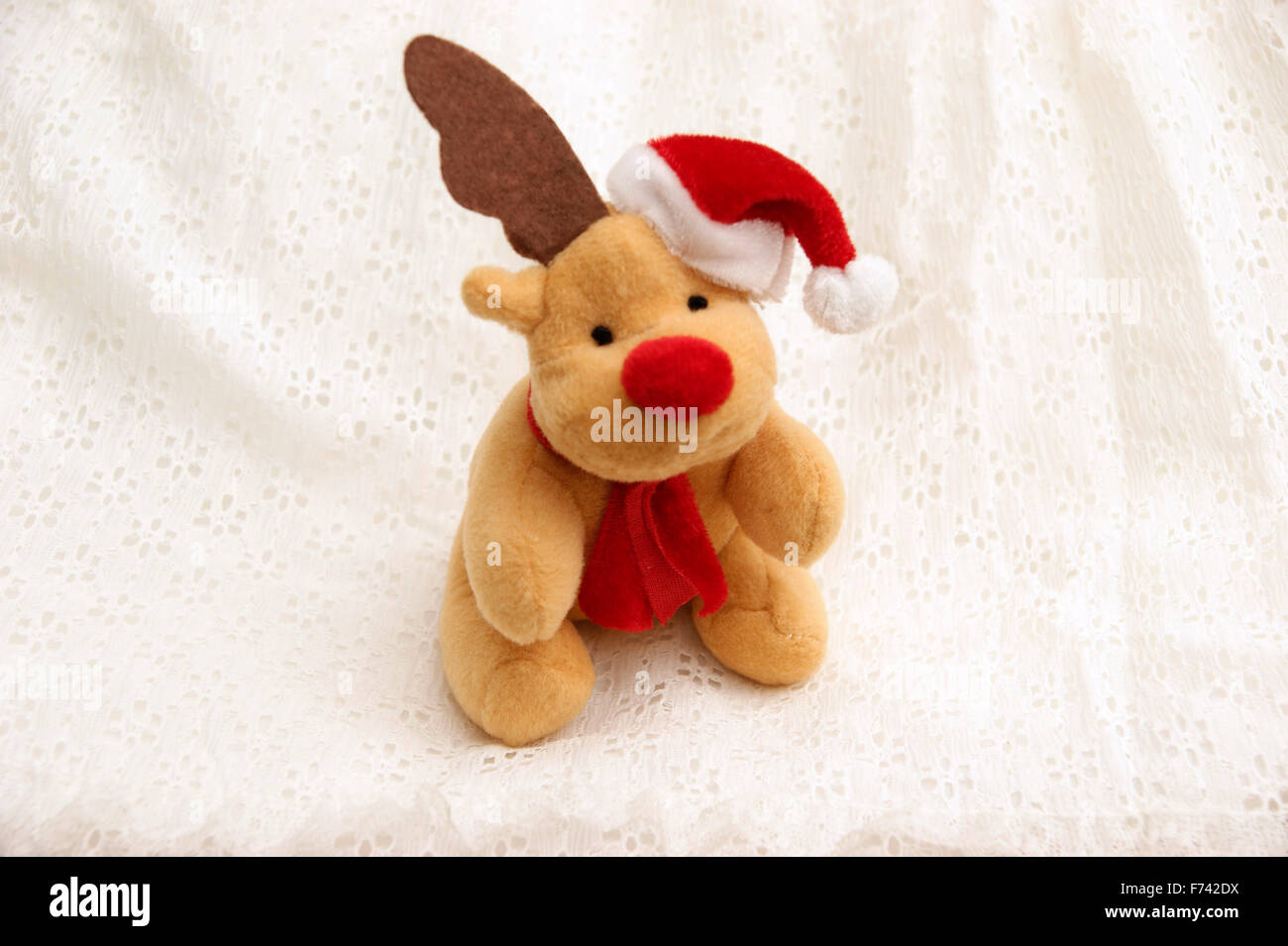 Cuddly toy 'Rudolph the red nosed reindeer' wearing a Santa's hat at Christmas Stock Photo