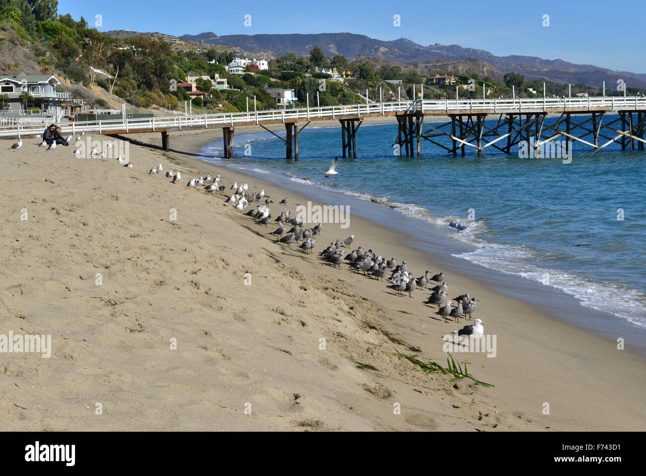 Paradise Cove at Malibu, Los Angeles Stock Photo Alamy